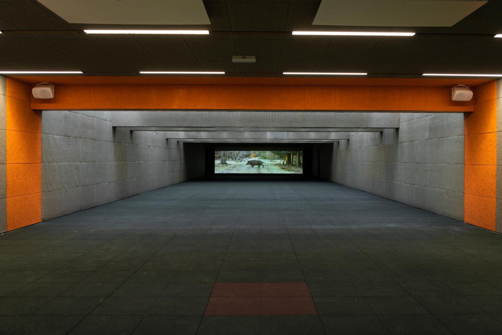Target World Hunter'S Lodge Landscheid エクステリア 写真